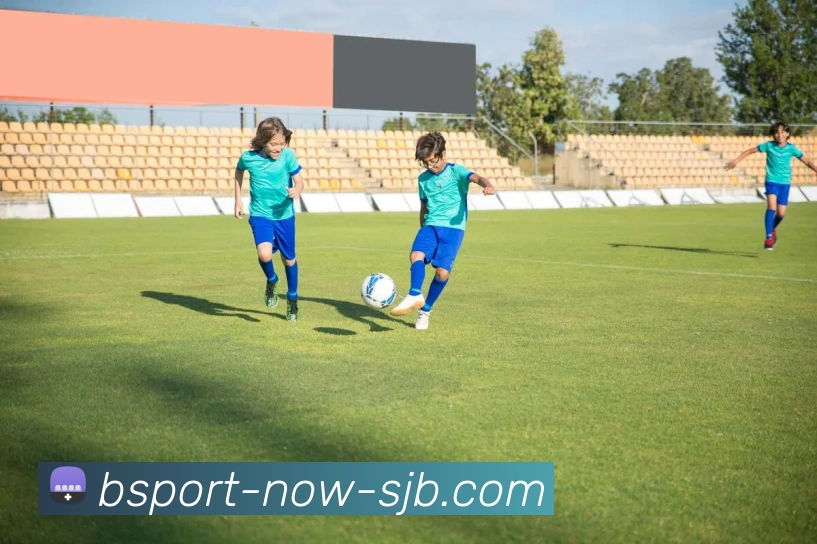 B体育，B体育官网，B体育入口，B体育APP，B体育平台APP 封面图